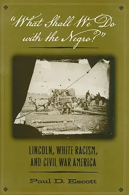 Co zrobić z Murzynem? Lincoln, biały rasizm i wojna secesyjna w Ameryce - What Shall We Do with the Negro?: Lincoln, White Racism, and Civil War America