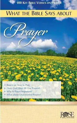 Co Biblia mówi o modlitwie - What the Bible Says about Prayer