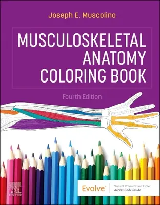 Kolorowanka z anatomią układu mięśniowo-szkieletowego - Musculoskeletal Anatomy Coloring Book
