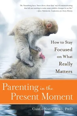 Rodzicielstwo w chwili obecnej: Jak skupić się na tym, co naprawdę ważne - Parenting in the Present Moment: How to Stay Focused on What Really Matters