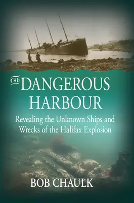 Niebezpieczny port: Ujawnienie nieznanych statków i wraków eksplozji w Halifaksie - The Dangerous Harbour: Revealing the Unknown Ships and Wrecks of the Halifax Explosion