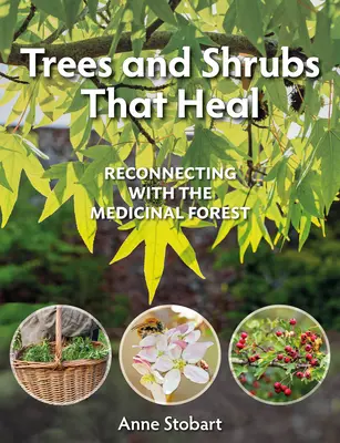 Drzewa i krzewy, które leczą: ponowne połączenie z leczniczym lasem - Trees and Shrubs That Heal: Reconnecting with the Medicinal Forest