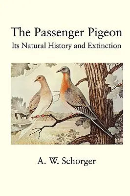 Gołąb pocztowy - The Passenger Pigeon