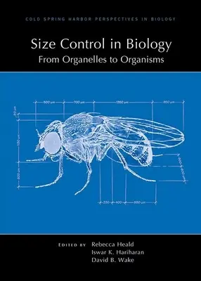 Kontrola wielkości w biologii: Od organelli do organizmów - Size Control in Biology: From Organelles to Organisms