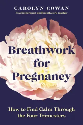 Breathwork for Pregnancy: Jak znaleźć spokój przez cztery trymestry ciąży - Breathwork for Pregnancy: How to Find Calm Throughout the Four Trimesters