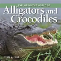 Odkrywanie świata aligatorów i krokodyli - Exploring the World of Alligators and Crocodiles