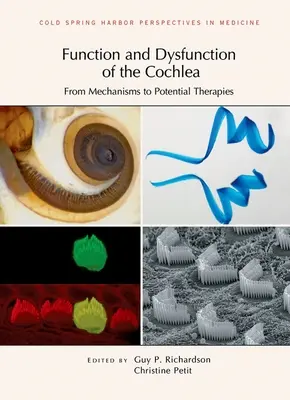 Funkcja i dysfunkcja ślimaka: Od mechanizmów do potencjalnych terapii - Function and Dysfunction of the Cochlea: From Mechanisms to Potential Therapies