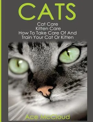 Koty: Opieka nad kotem: Opieka nad kocięciem: Jak opiekować się i szkolić kota lub kocię - Cats: Cat Care: Kitten Care: How To Take Care Of And Train Your Cat Or Kitten