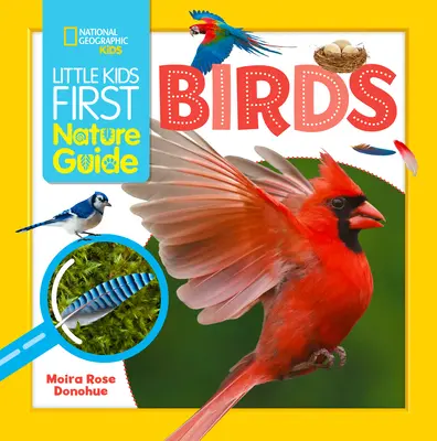 Little Kids First Nature Guide Ptaki - Little Kids First Nature Guide Birds