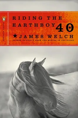 Jazda na Earthboy 40 - Riding the Earthboy 40