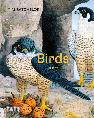 Ptaki - Birds