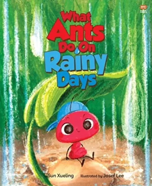 Co mrówki robią w deszczowe dni - What Ants Do on Rainy Days