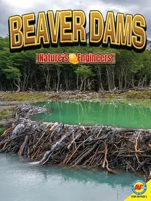 Tamy bobrów - Beaver Dams