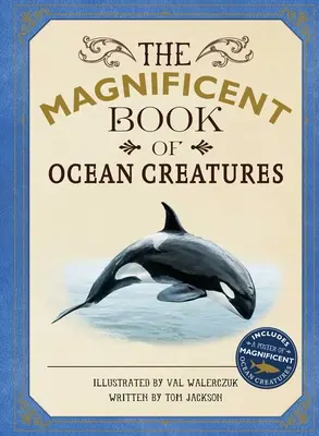 Wspaniała księga oceanicznych stworzeń - The Magnificent Book of Ocean Creatures