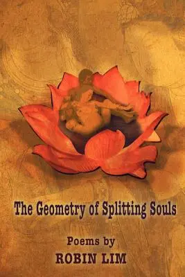 Geometria rozszczepienia dusz - The Geometry of Splitting Souls