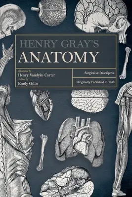 Anatomia Henry'ego Graya: chirurgiczna i opisowa - Henry Gray's Anatomy: Surgical and Descriptive