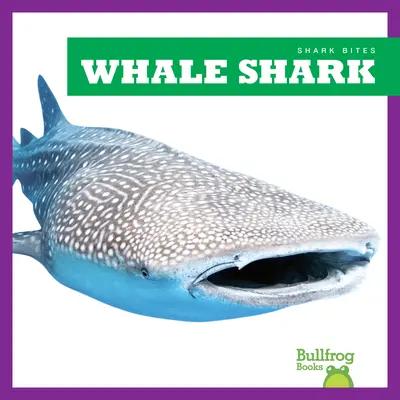 Rekin wielorybi - Whale Shark