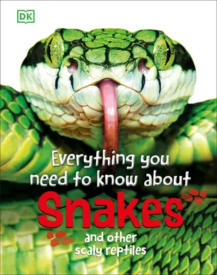 Wszystko, co musisz wiedzieć o wężach: I innych łuskowatych gadach - Everything You Need to Know about Snakes: And Other Scaly Reptiles