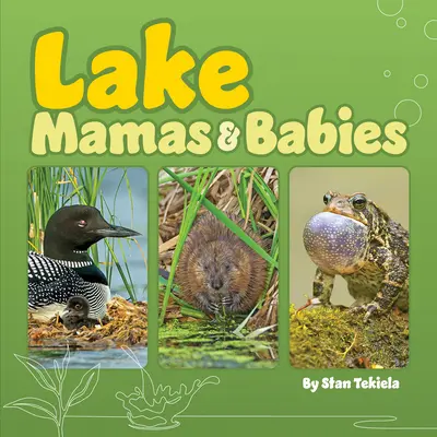 Mamas & Babies nad jeziorem - Lake Mamas & Babies