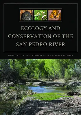 Ekologia i ochrona rzeki San Pedro - Ecology and Conservation of the San Pedro River