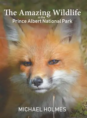 Niesamowita dzika przyroda w Parku Narodowym Prince Albert - The Amazing Wildlife in the Prince Albert National Park